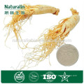 100% Natural Ginseng Root Extract Powder